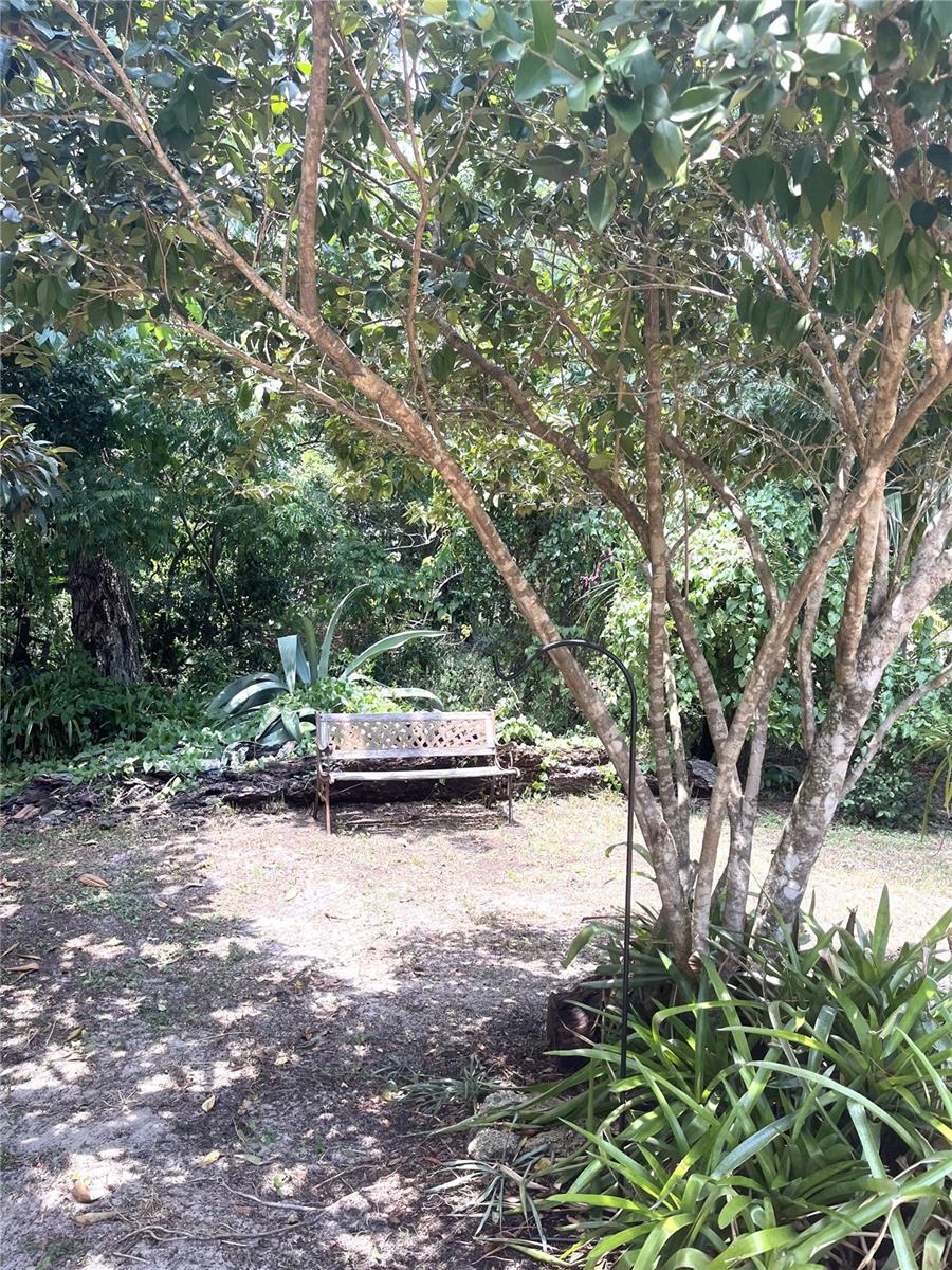 17847 COUNTY ROAD 455, CLERMONT, FL, 34715