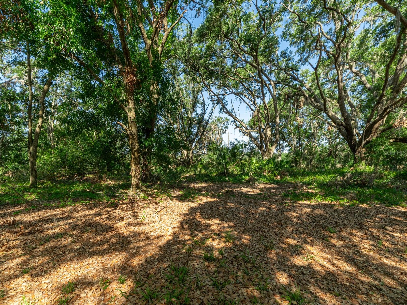 6702 BROOKRIDGE TRL, LAKELAND, FL, 33810