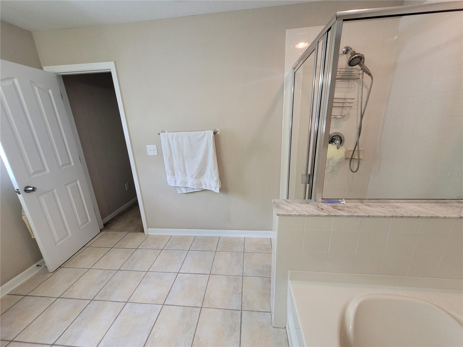 4633 WHITE BAY CIR, WESLEY CHAPEL, FL, 33545