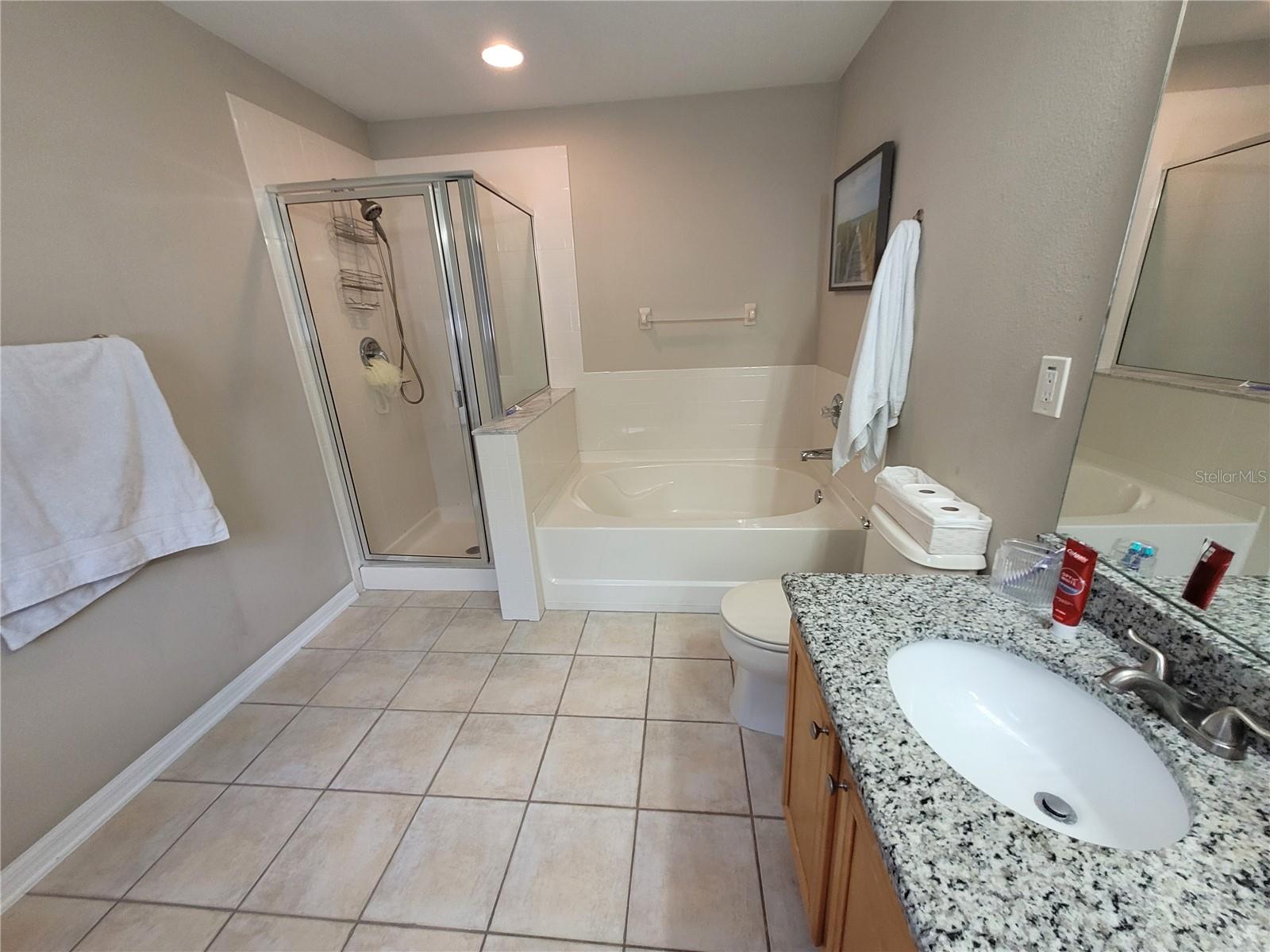 4633 WHITE BAY CIR, WESLEY CHAPEL, FL, 33545