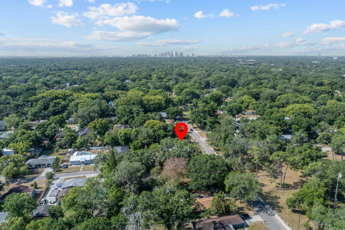 6709 N 13TH ST, TAMPA, FL, 33604