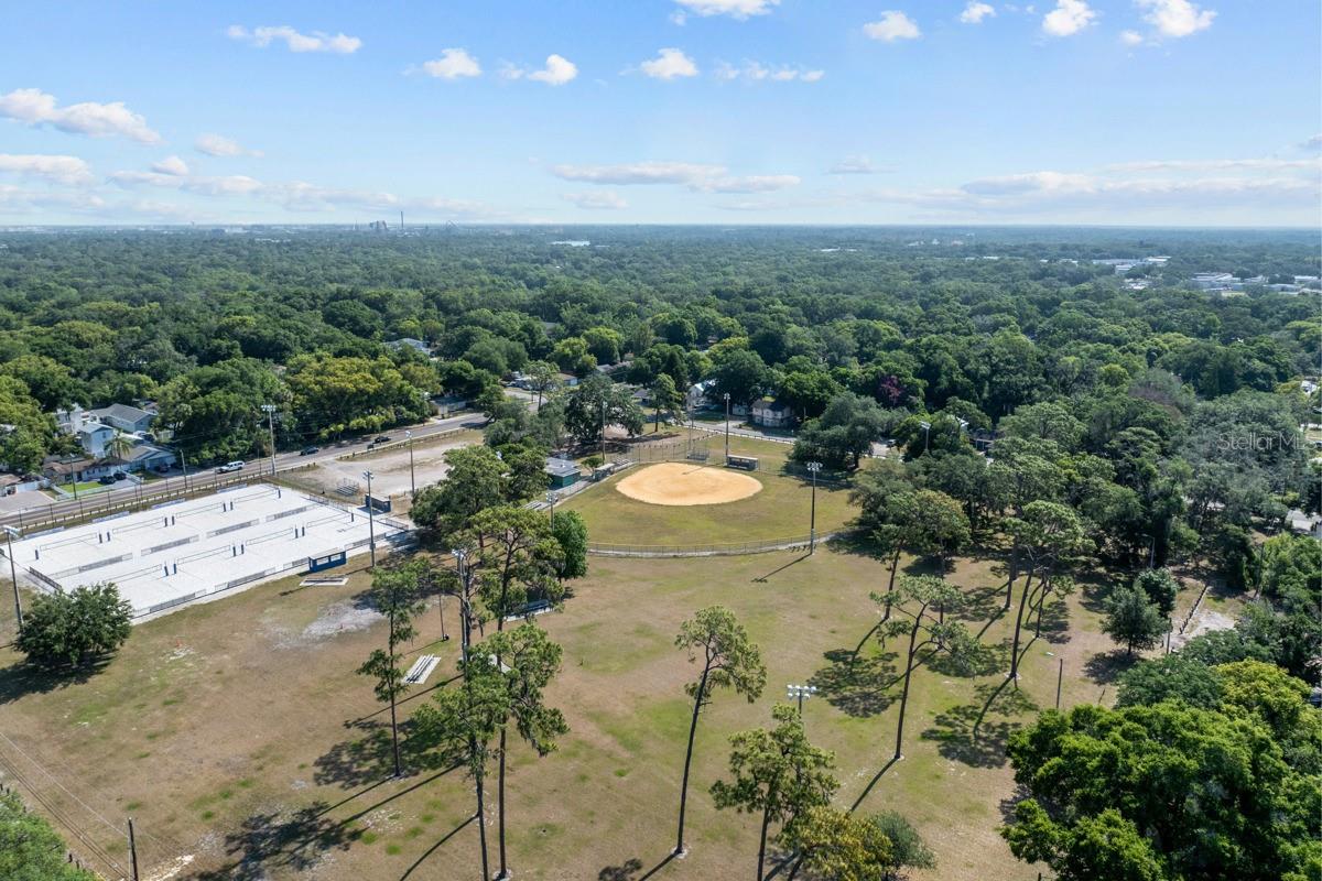 6709 N 13TH ST, TAMPA, FL, 33604