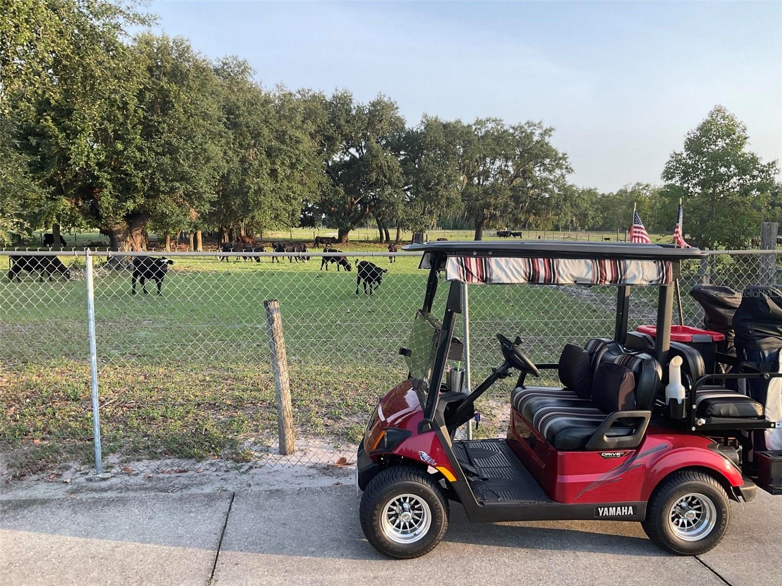 1415 COLONIAL CT, WINTER HAVEN, FL, 33884