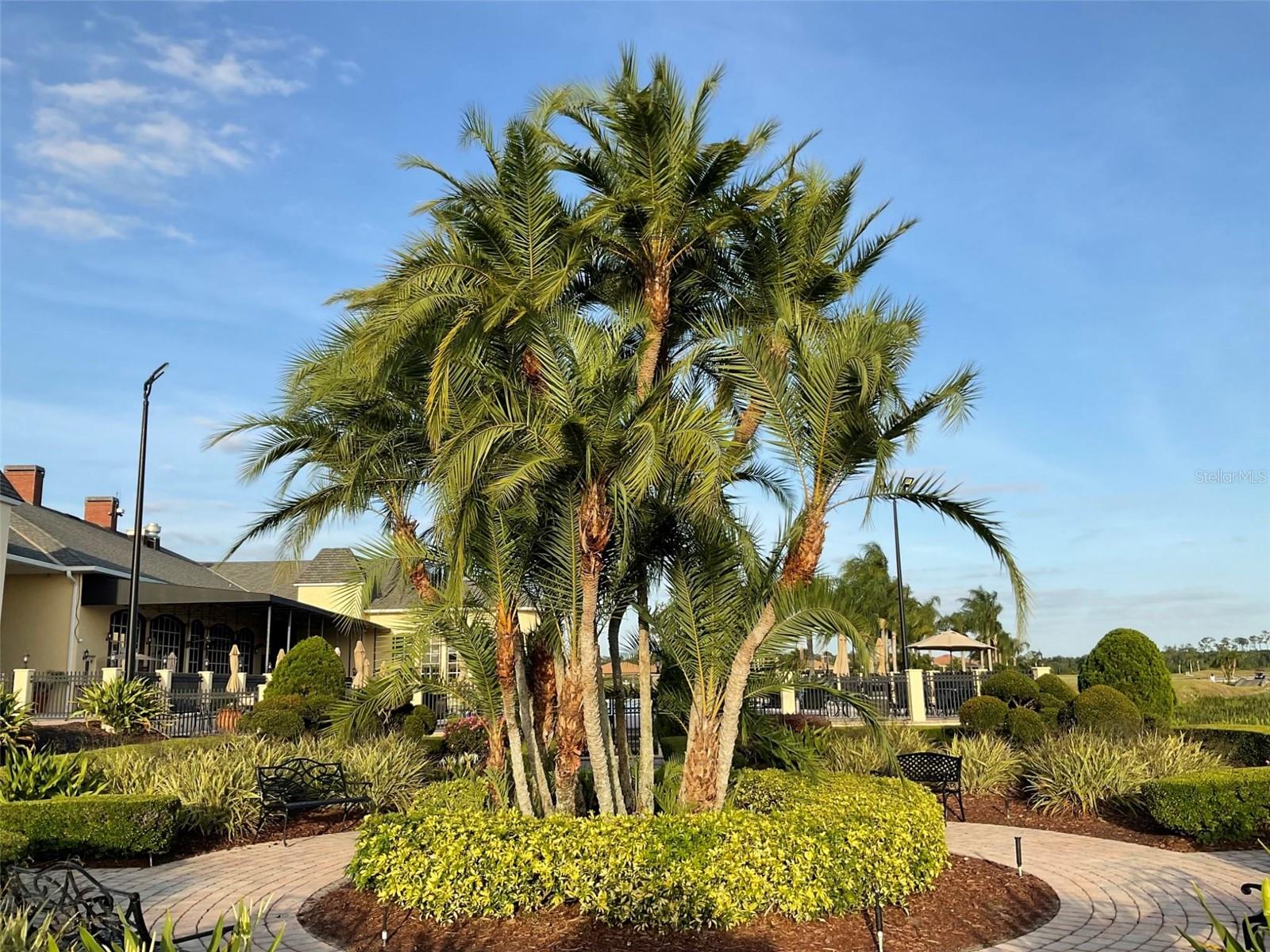 1415 COLONIAL CT, WINTER HAVEN, FL, 33884