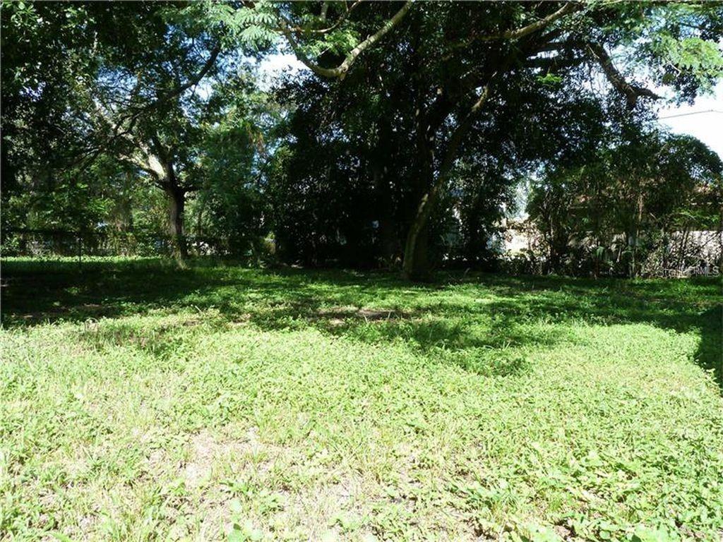 921 NEUSE AVE, ORLANDO, FL, 32804