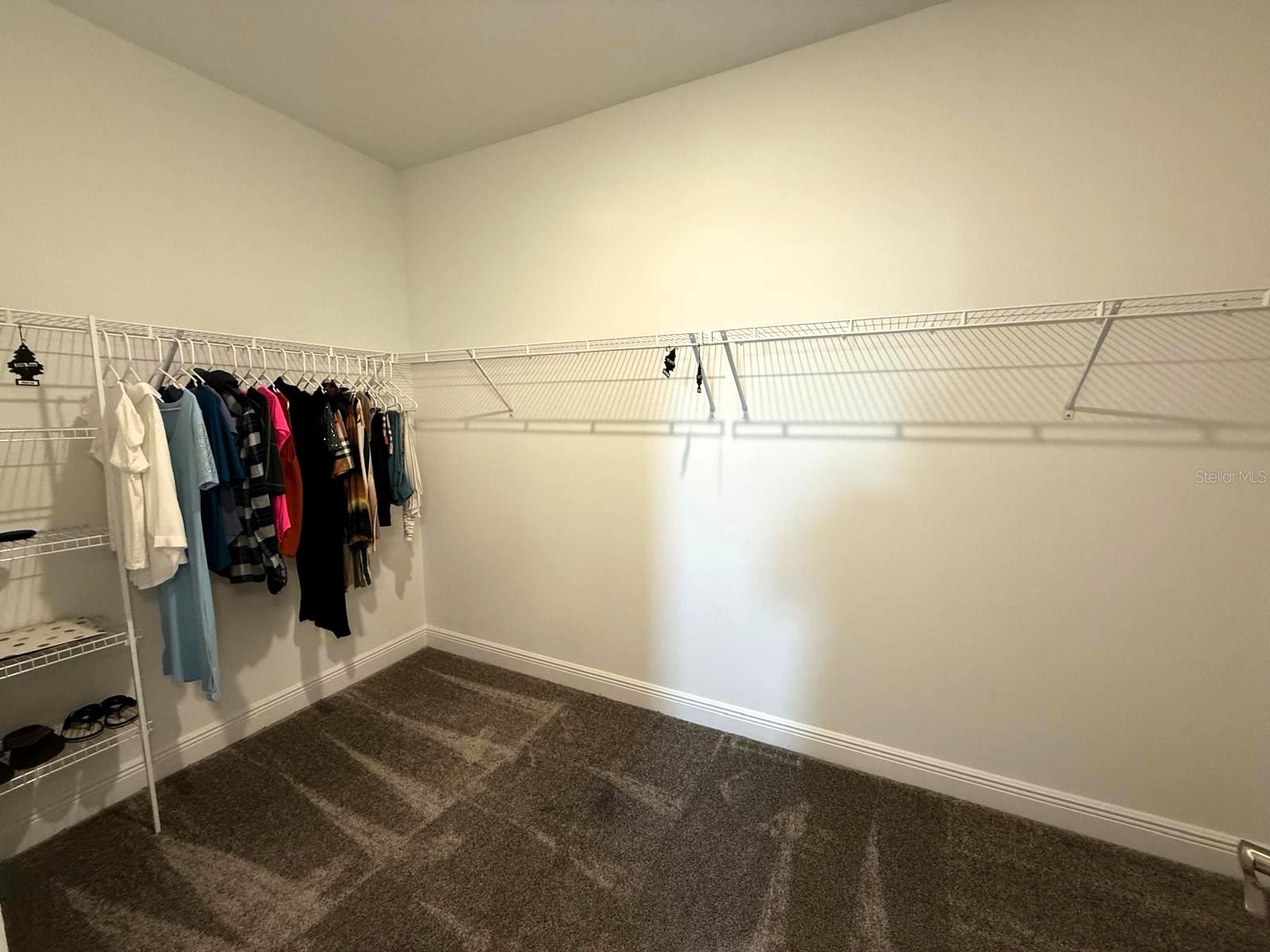 4828 ABBEYWOOD ALY, WINTER GARDEN, FL, 34787