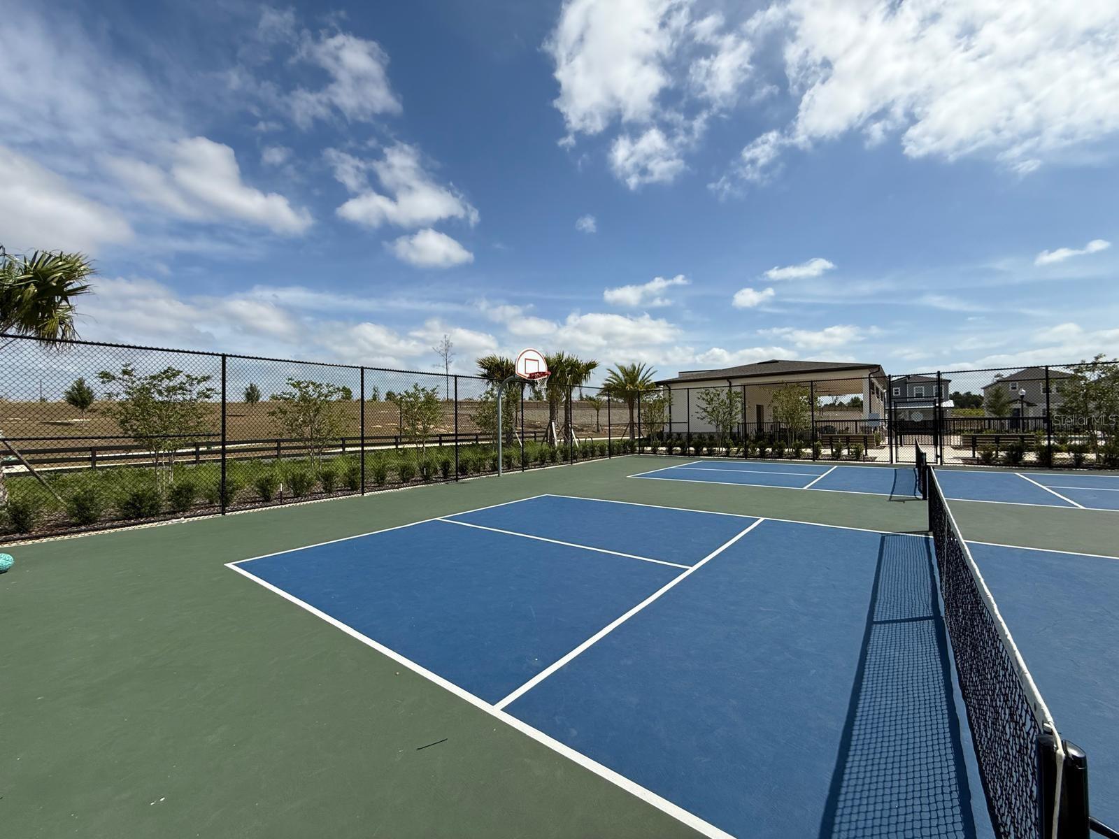 4828 ABBEYWOOD ALY, WINTER GARDEN, FL, 34787