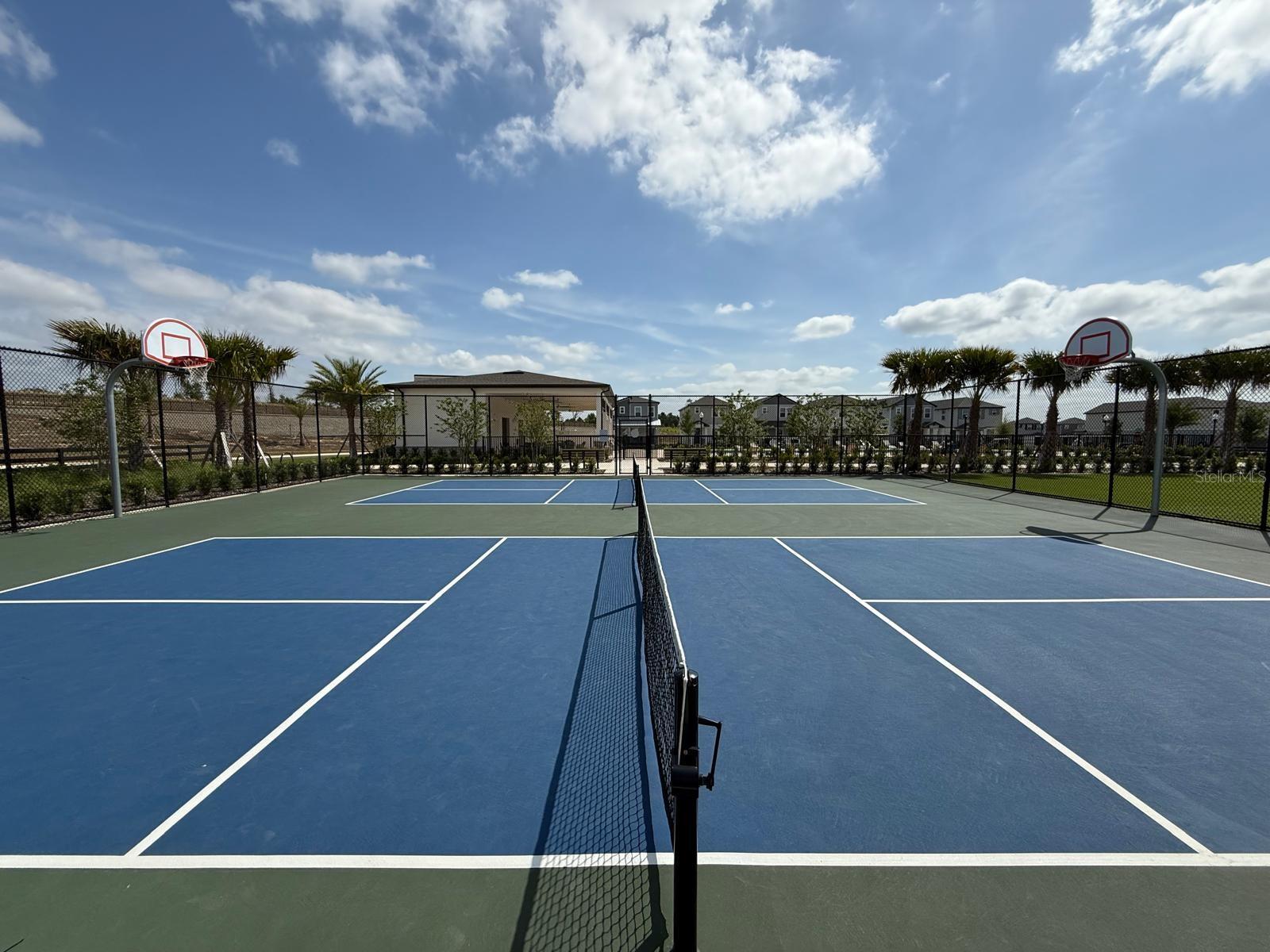 4828 ABBEYWOOD ALY, WINTER GARDEN, FL, 34787