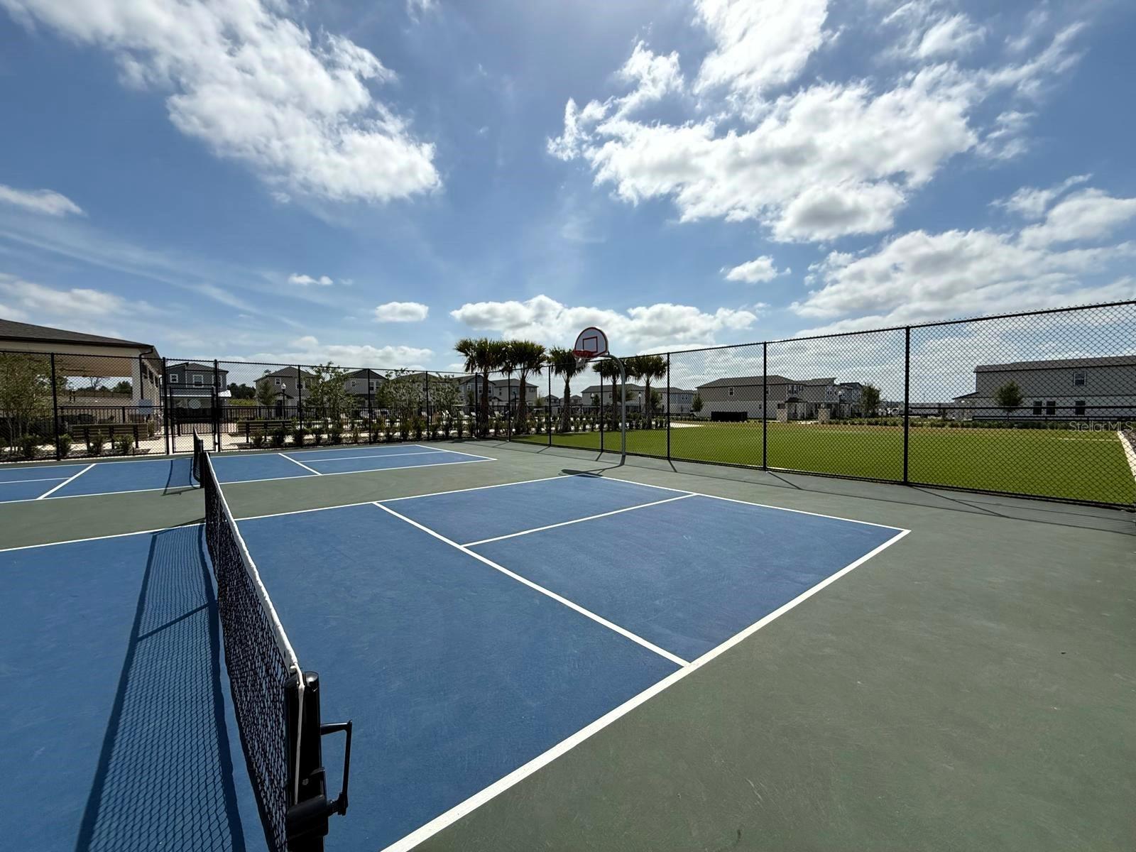 4828 ABBEYWOOD ALY, WINTER GARDEN, FL, 34787