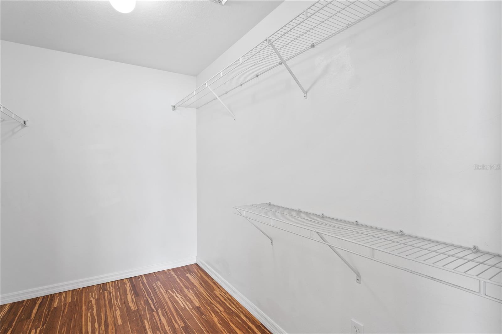 1506 LENTON ROSE CT, TRINITY, FL, 34655