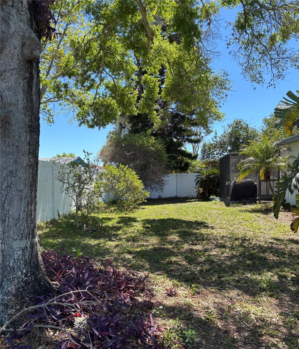 1129 FORBES TRCE, TARPON SPRINGS, FL, 34689