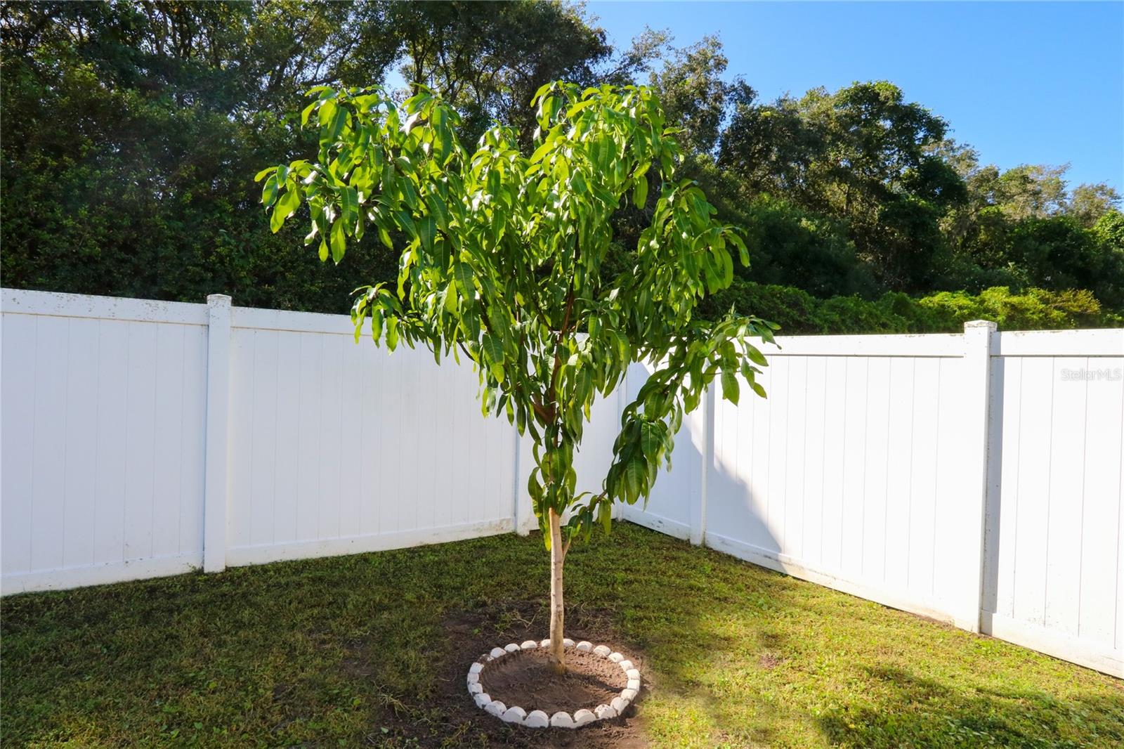 12948 TRIBUTE DR, RIVERVIEW, FL, 33578