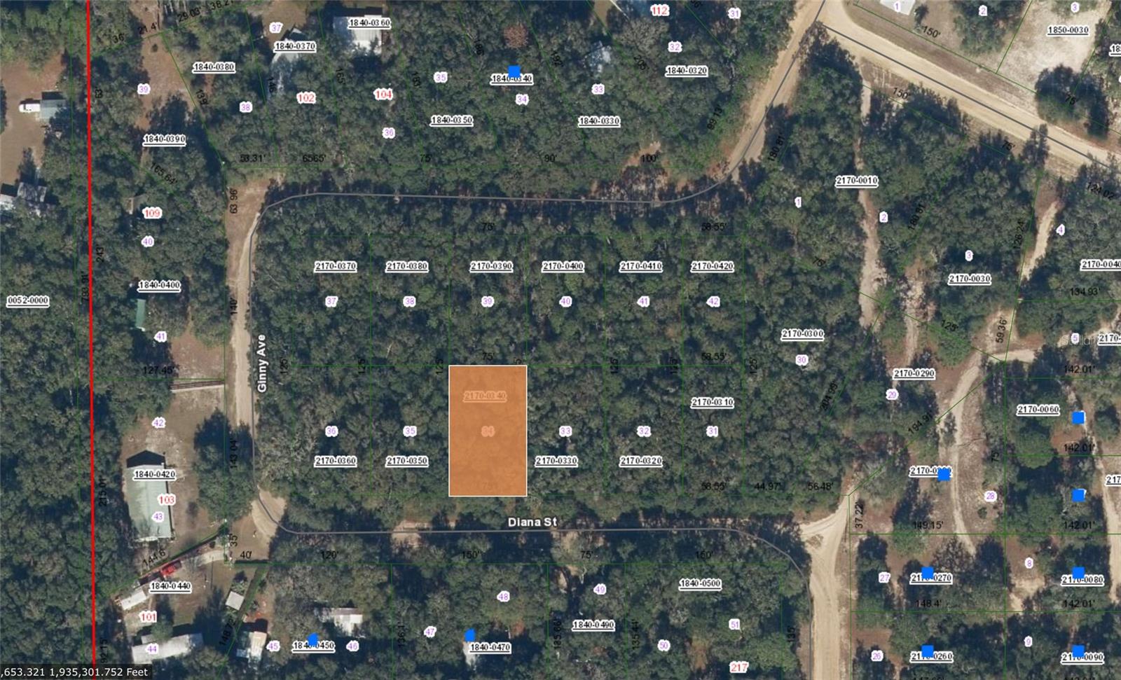 DIANA ST, INTERLACHEN, FL, 32148