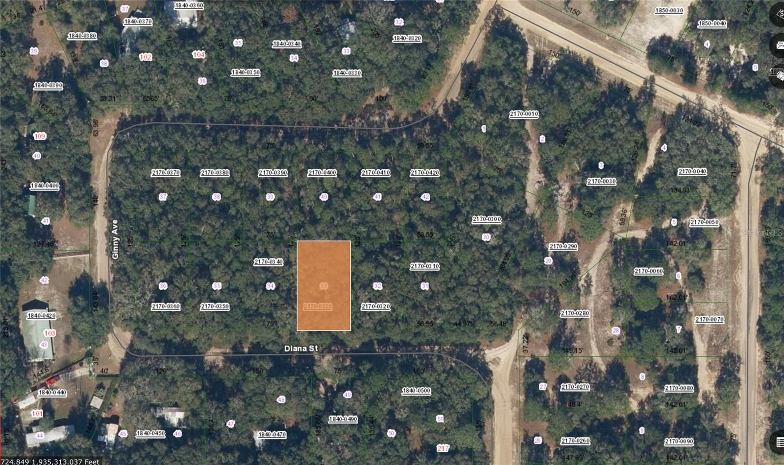 DIANA ST, INTERLACHEN, FL, 32148