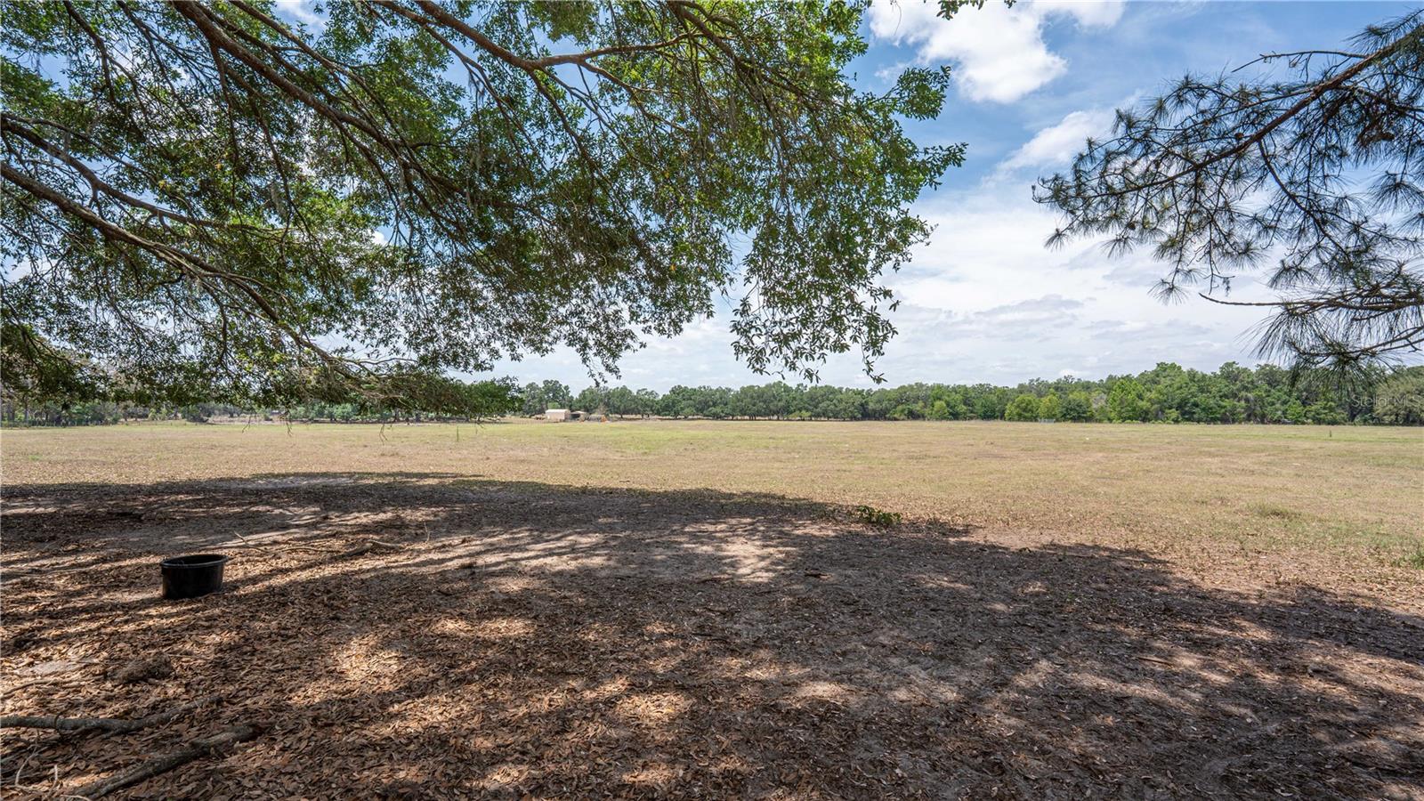 6882 SE 57TH RD, CENTER HILL, FL, 33514