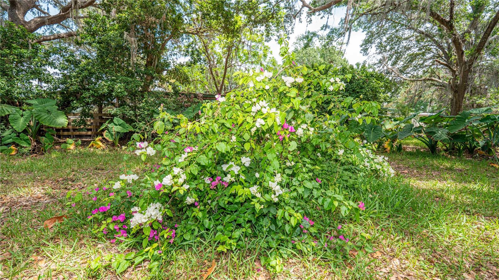 6882 SE 57TH RD, CENTER HILL, FL, 33514
