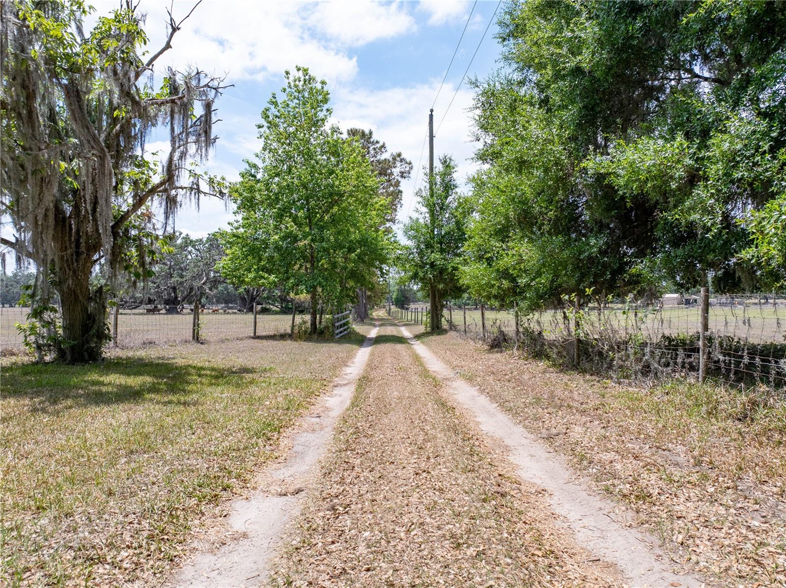 6882 SE 57TH RD, CENTER HILL, FL, 33514