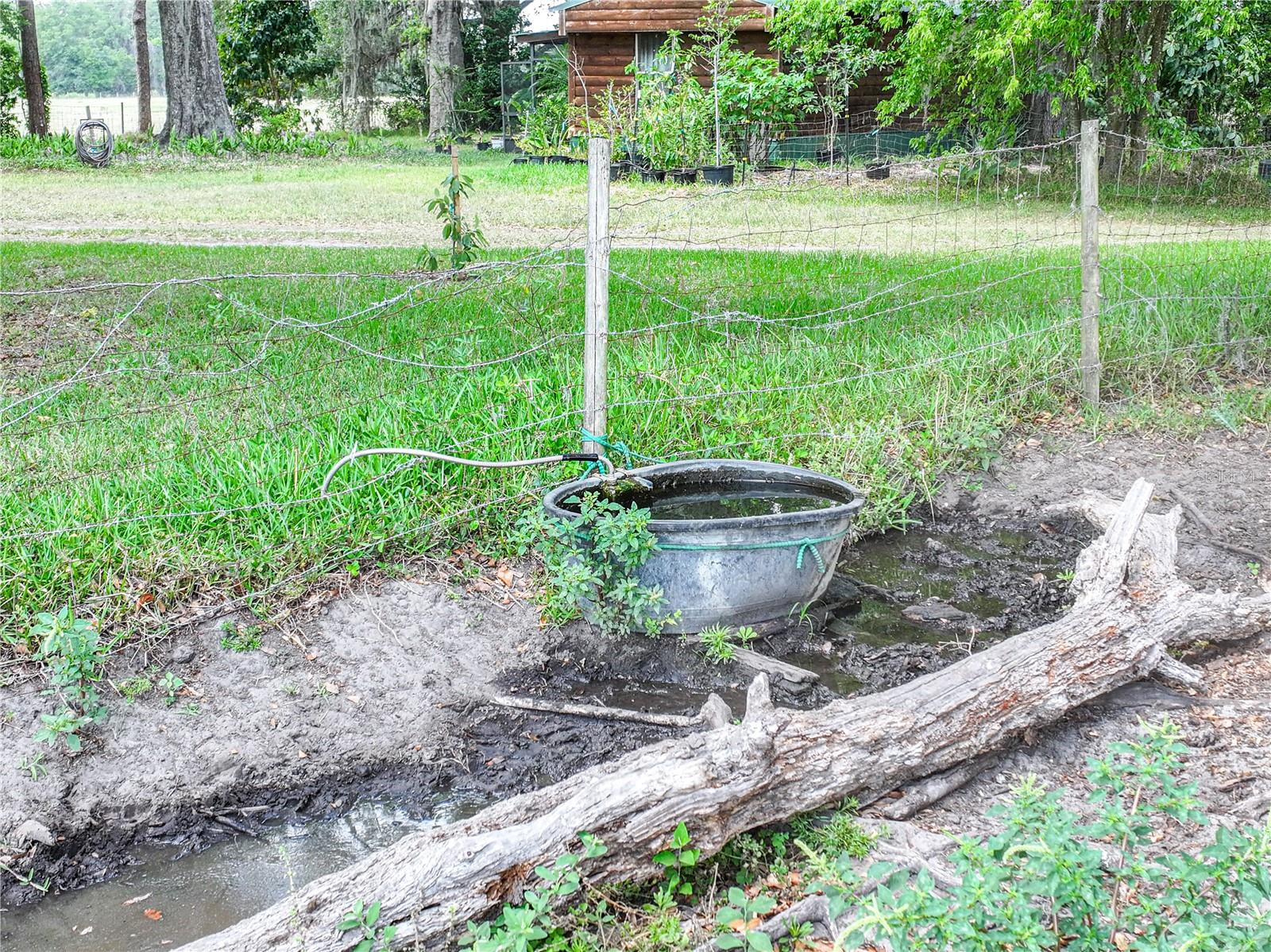 6882 SE 57TH RD, CENTER HILL, FL, 33514