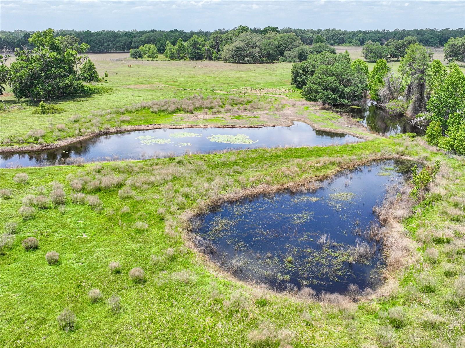 6882 SE 57TH RD, CENTER HILL, FL, 33514