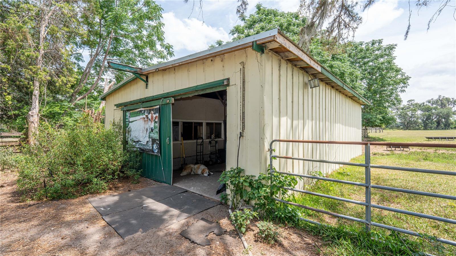 6882 SE 57TH RD, CENTER HILL, FL, 33514