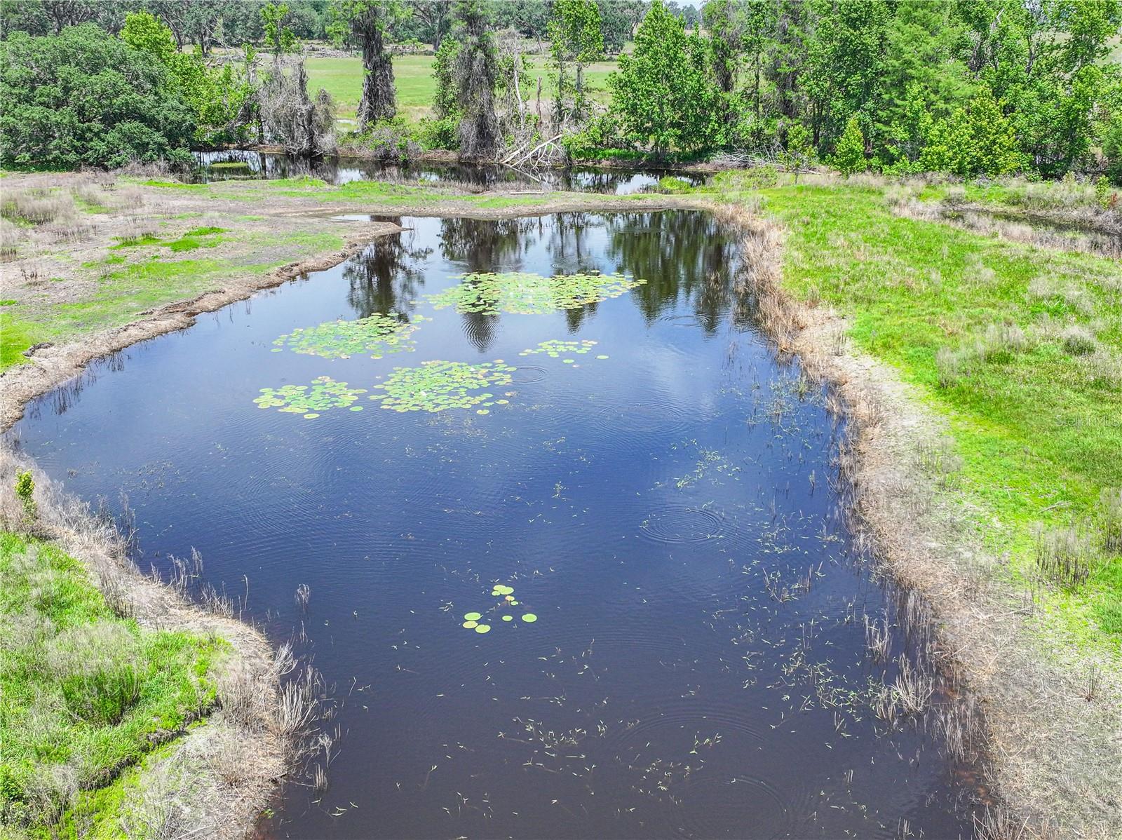 6882 SE 57TH RD, CENTER HILL, FL, 33514