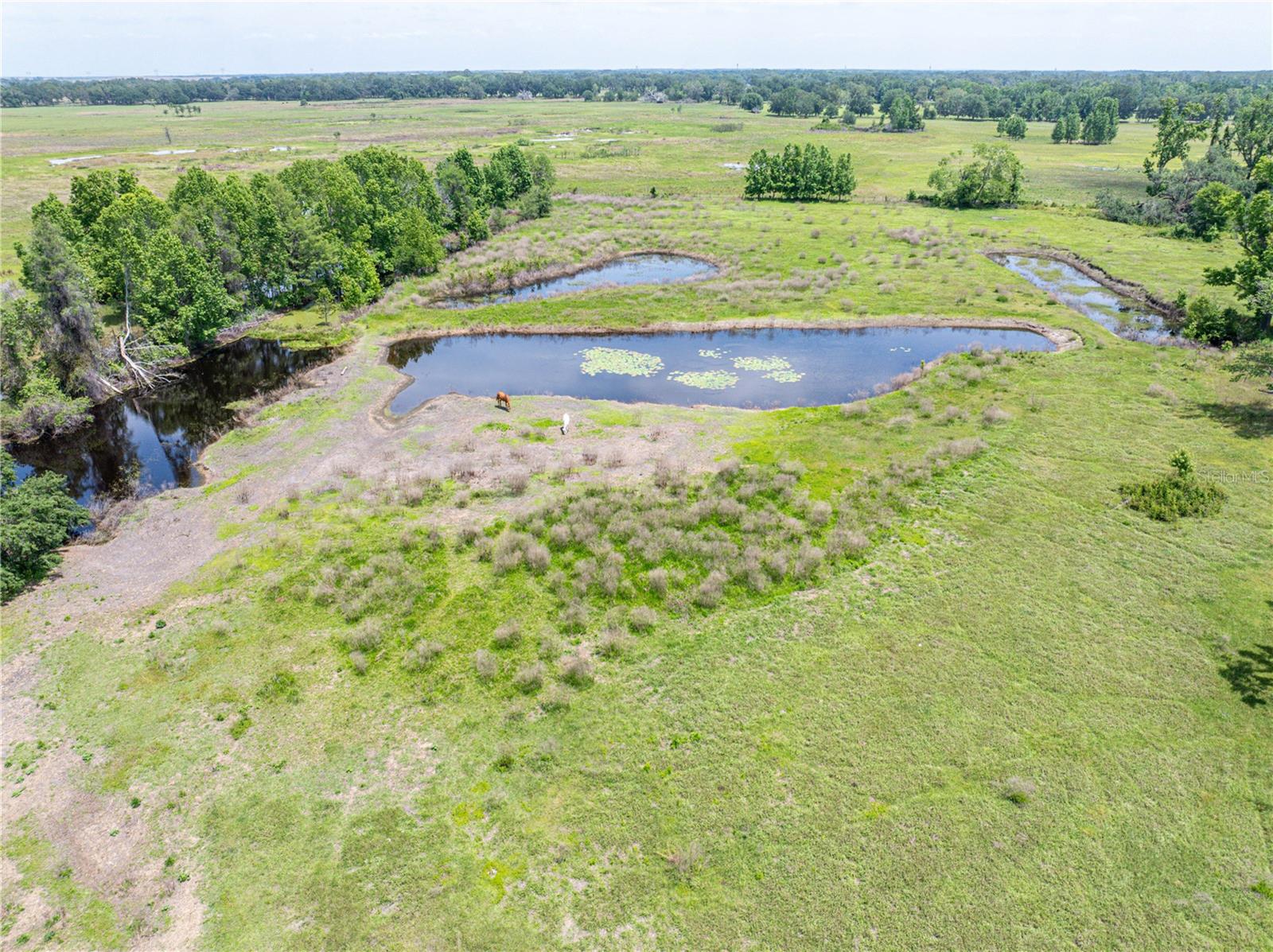 6882 SE 57TH RD, CENTER HILL, FL, 33514