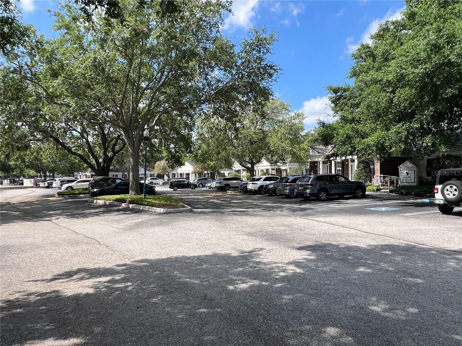 693 W LUMSDEN RD, BRANDON, FL, 33511