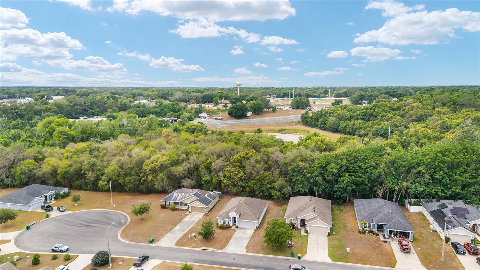 704 CHELSEA AVE, FRUITLAND PARK, FL, 34731