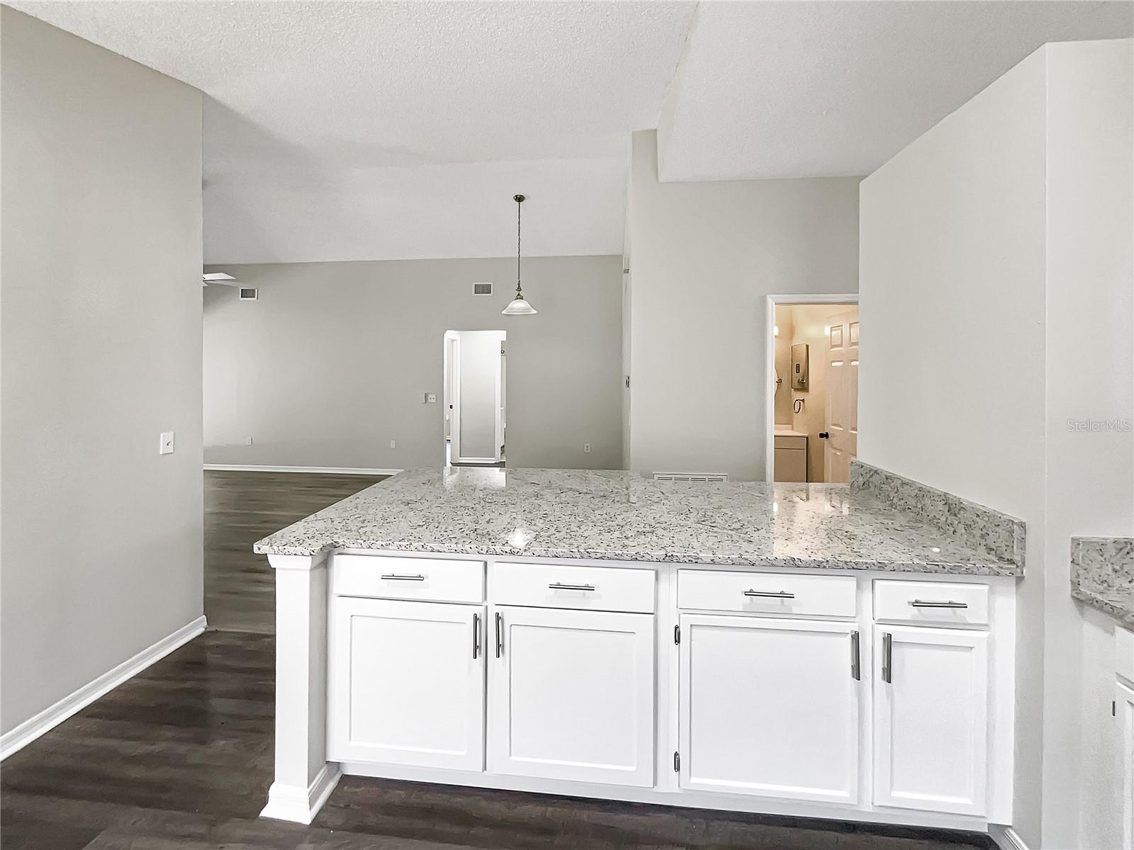 17505 SILVER CREEK CT, CLERMONT, FL, 34714