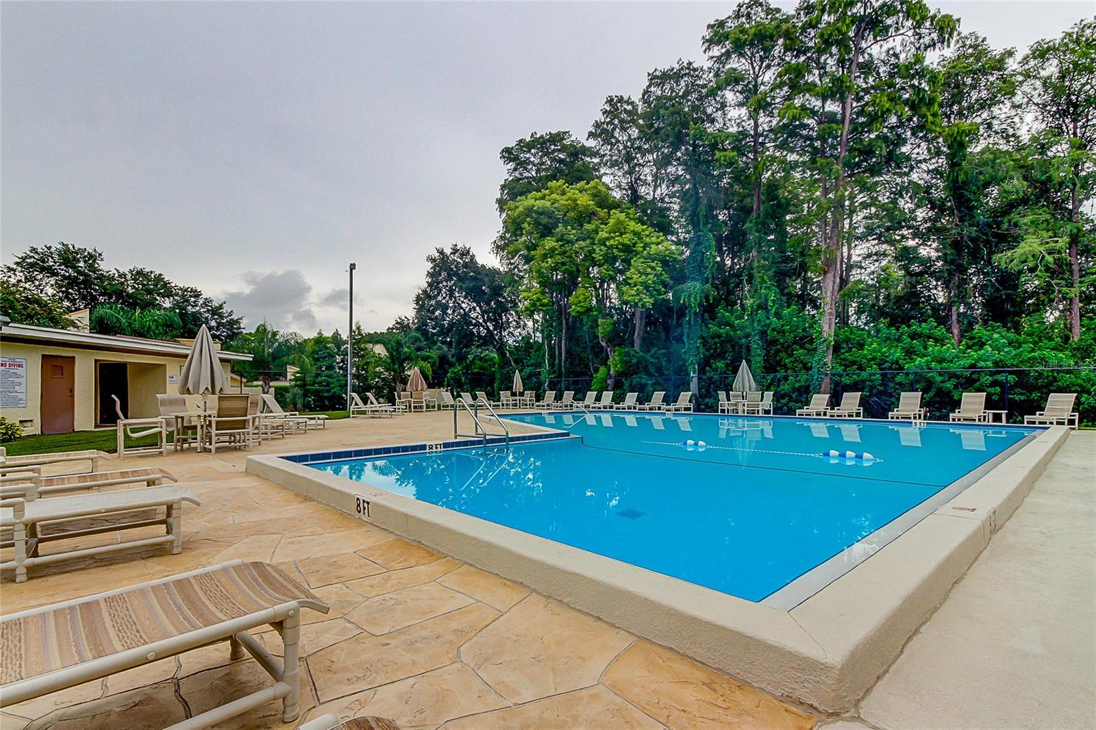 2600 FOREST RUN CT, CLEARWATER, FL, 33761