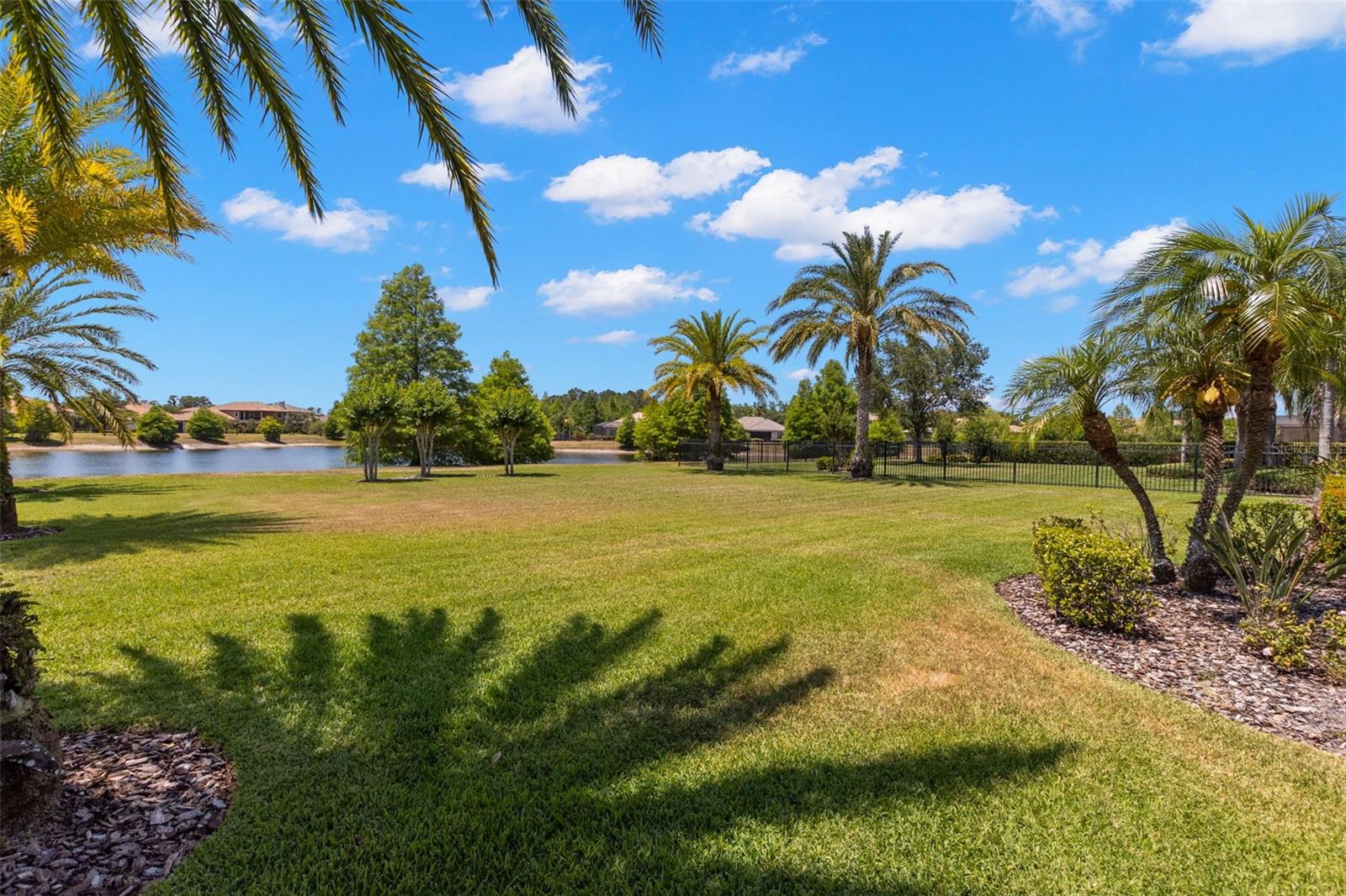1013 STELLA VARA DR, LUTZ, FL, 33548