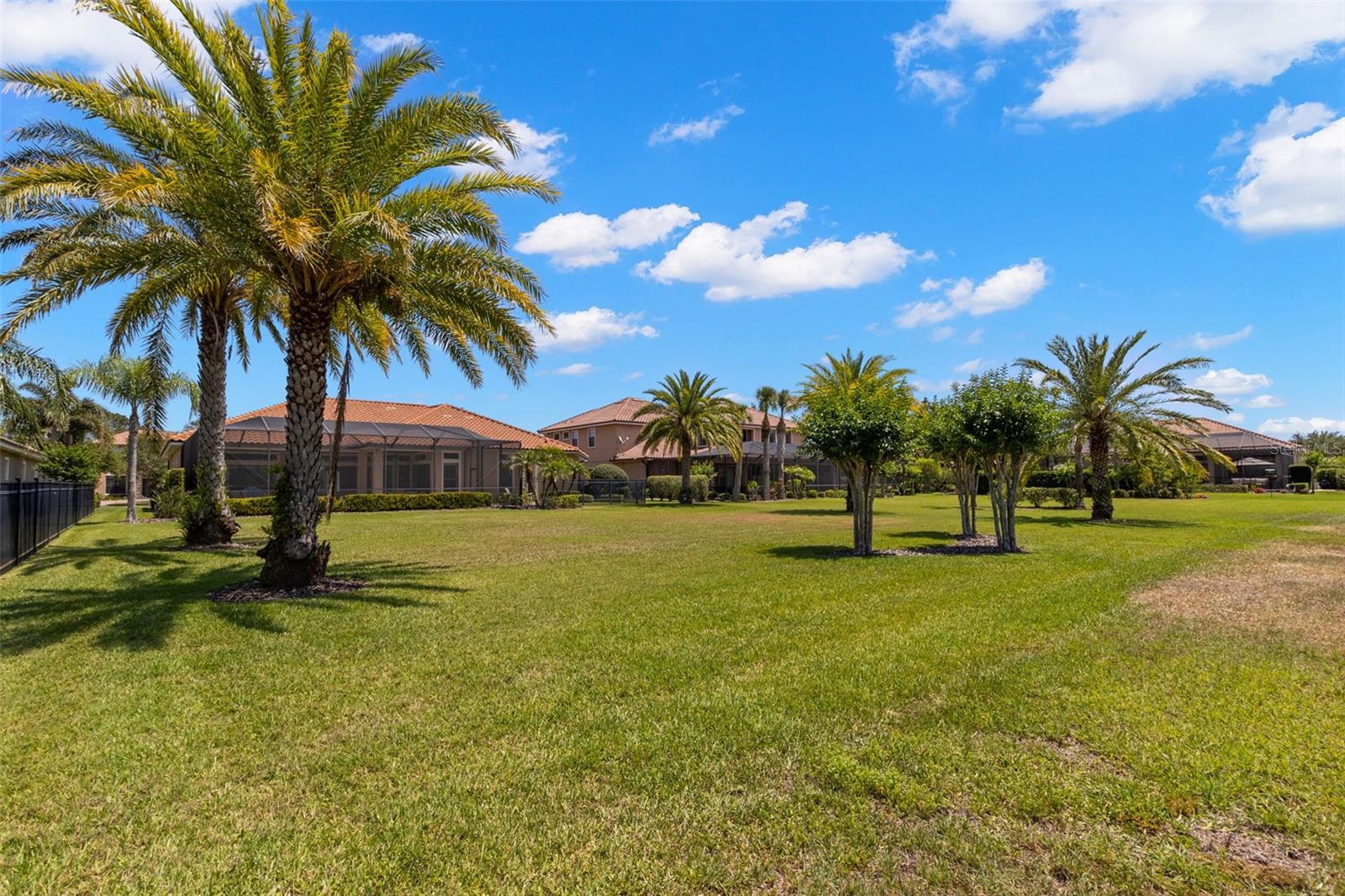1013 STELLA VARA DR, LUTZ, FL, 33548