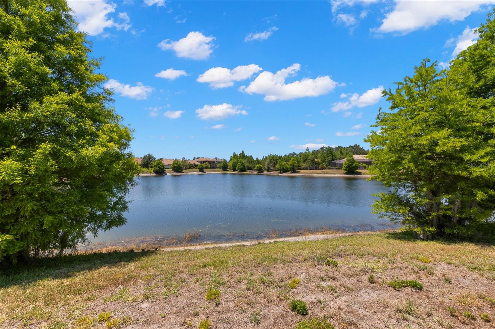 1013 STELLA VARA DR, LUTZ, FL, 33548