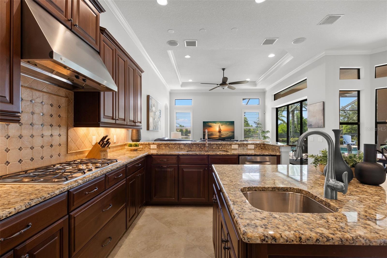 1013 STELLA VARA DR, LUTZ, FL, 33548