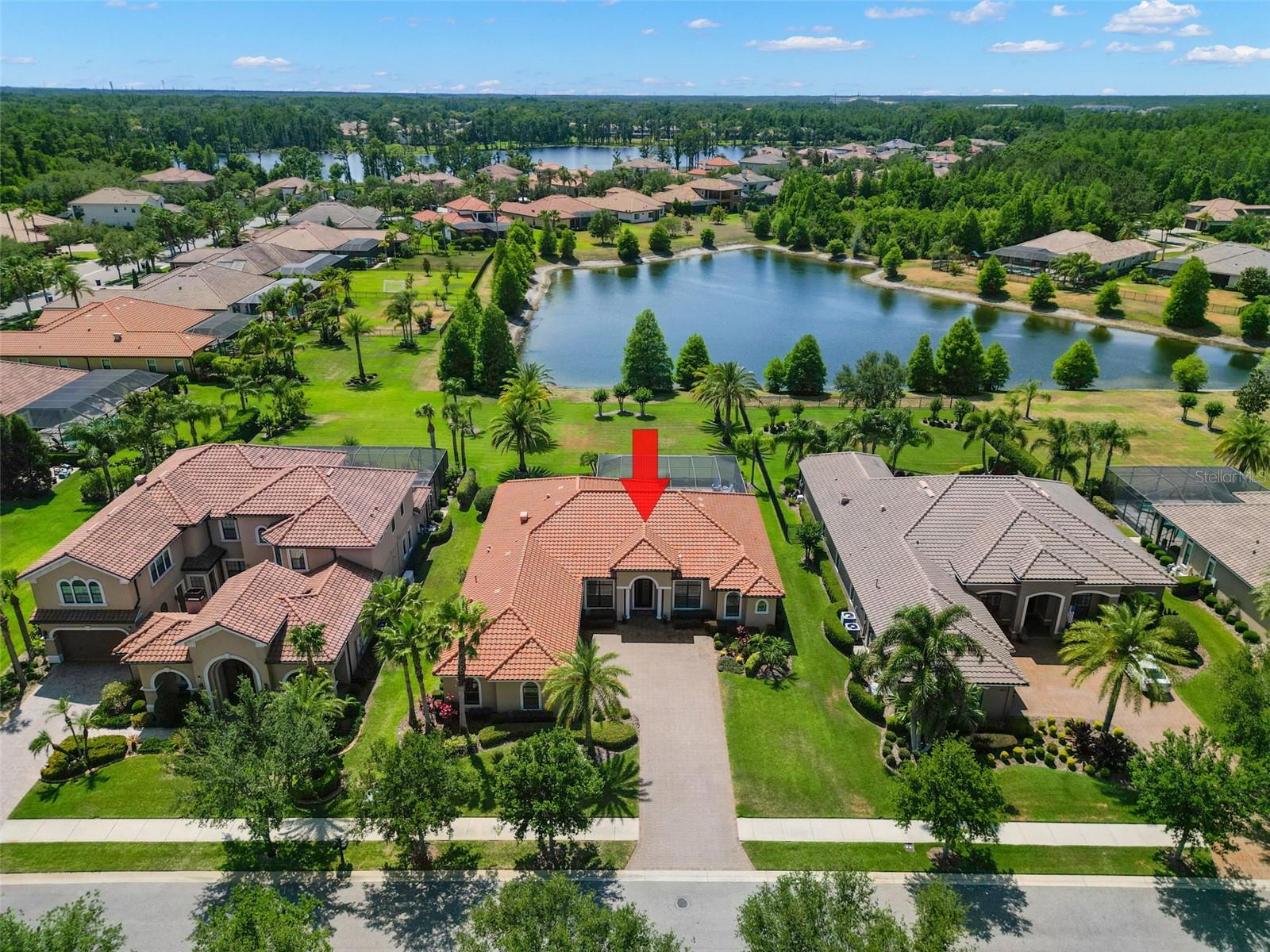 1013 STELLA VARA DR, LUTZ, FL, 33548