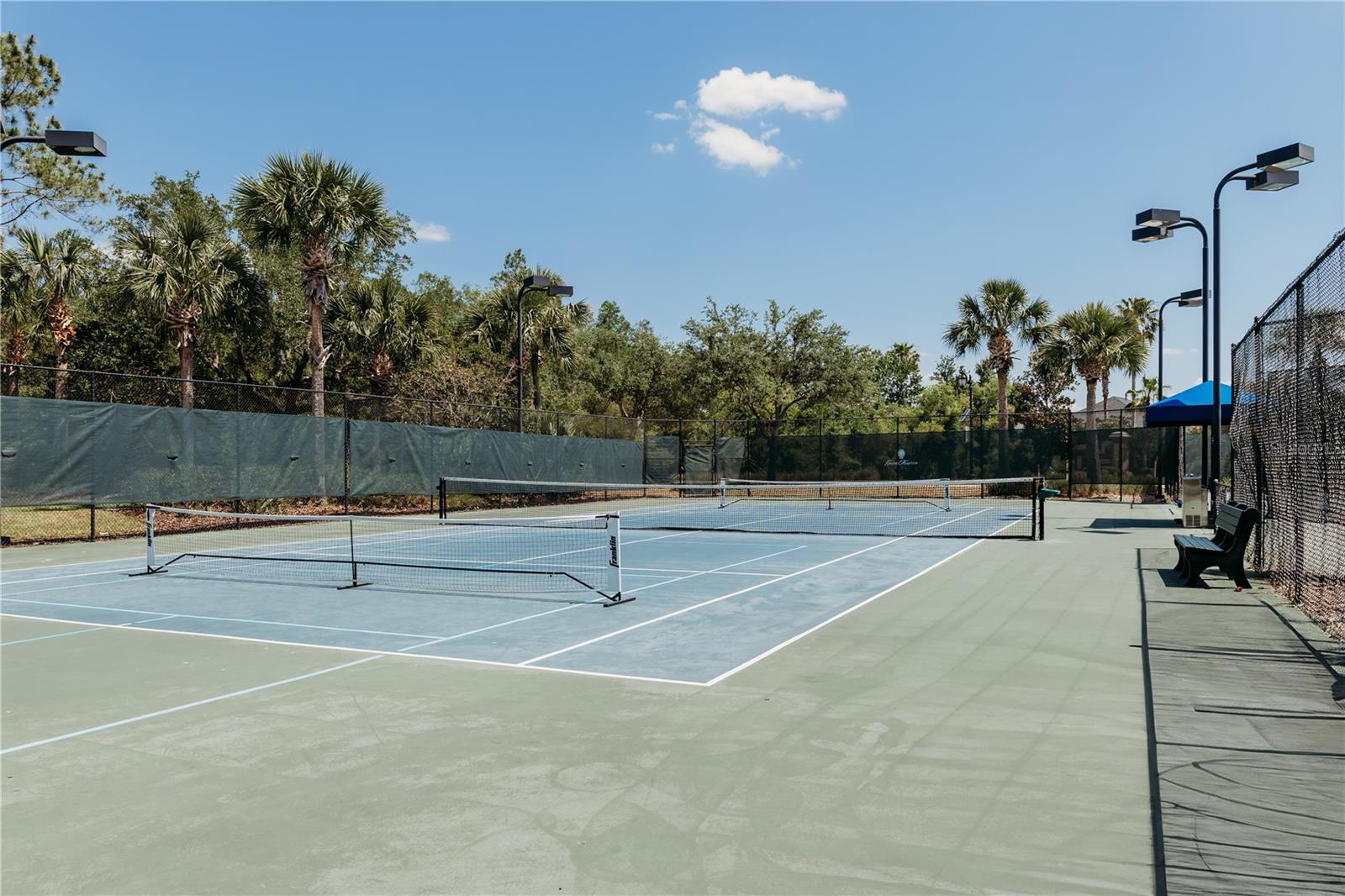 8338 OLD TOWN DR, TAMPA, FL, 33647