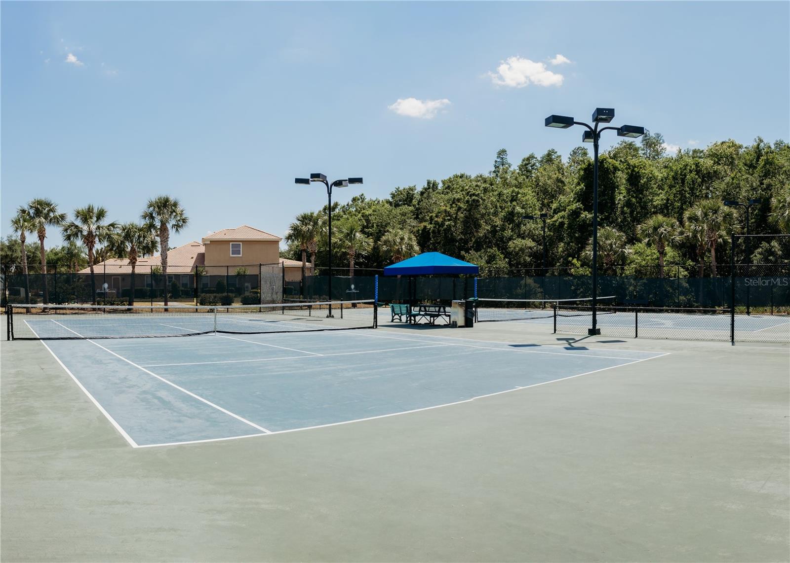 8338 OLD TOWN DR, TAMPA, FL, 33647