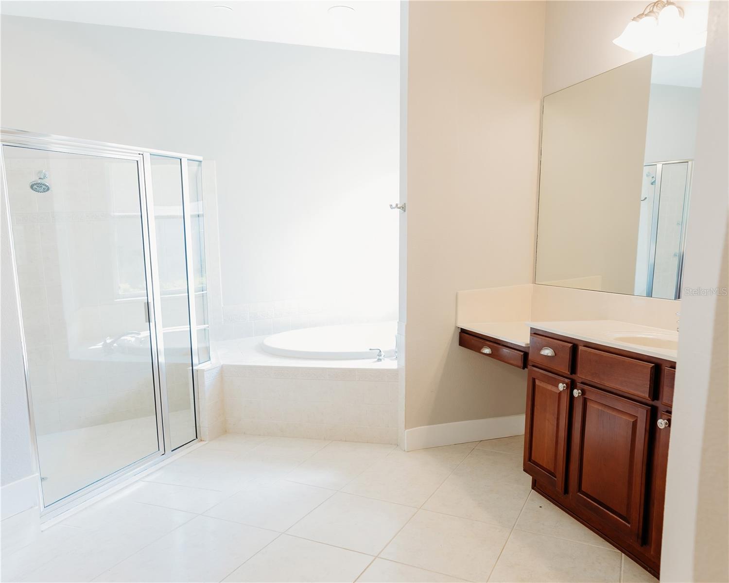 8338 OLD TOWN DR, TAMPA, FL, 33647