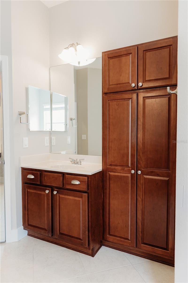 8338 OLD TOWN DR, TAMPA, FL, 33647