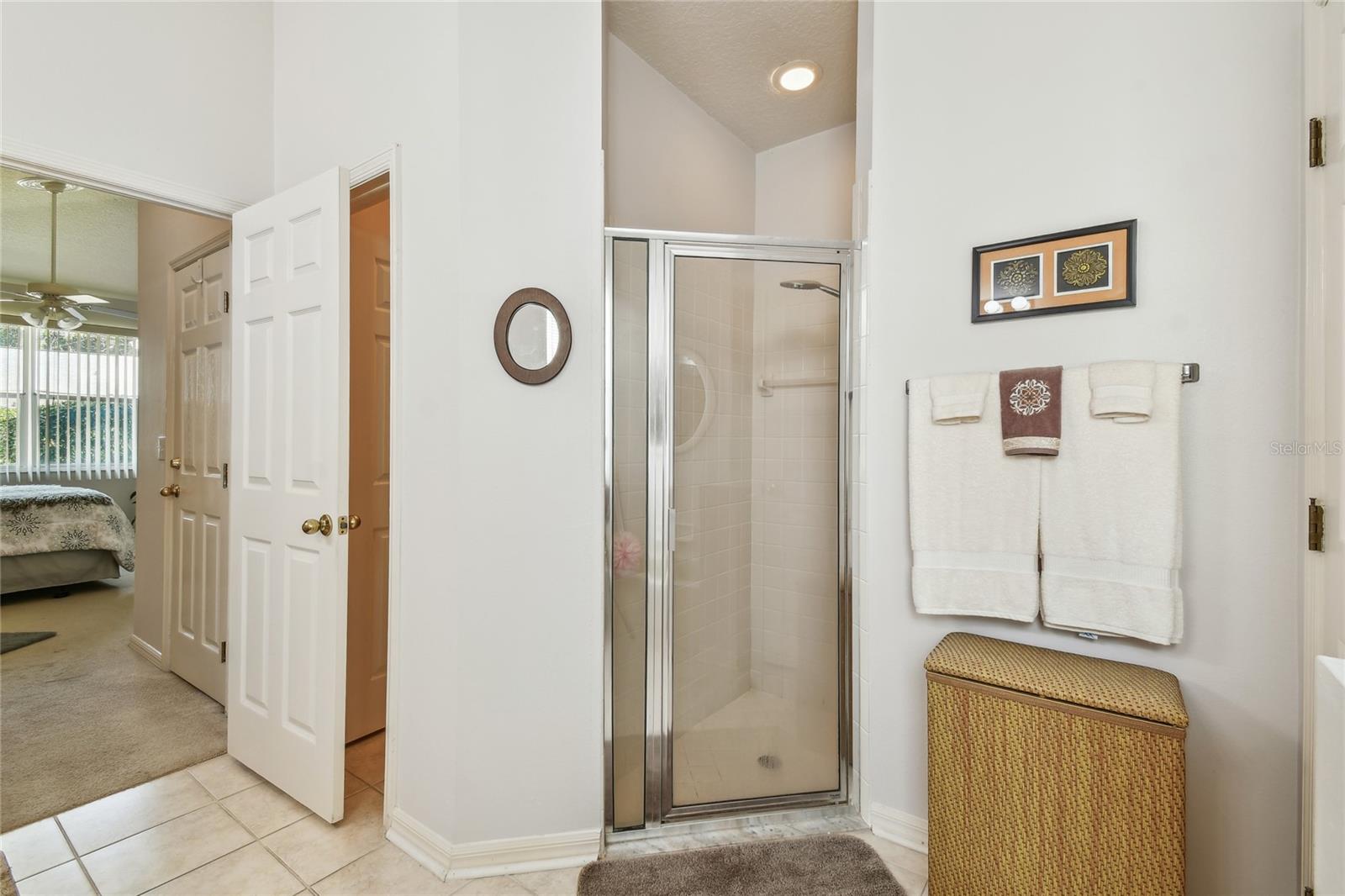 17616 NATHANS DR, TAMPA, FL, 33647