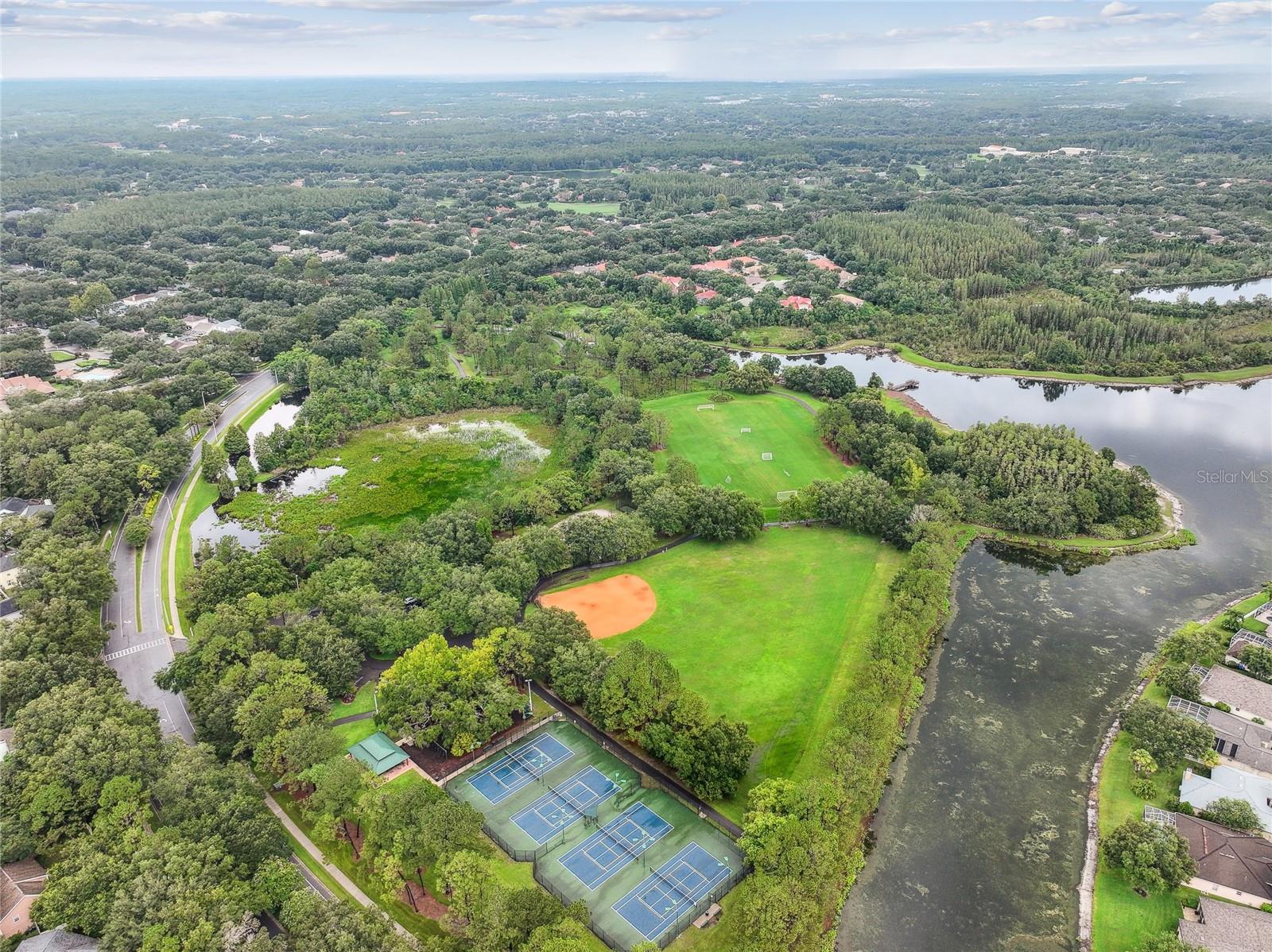 17616 NATHANS DR, TAMPA, FL, 33647