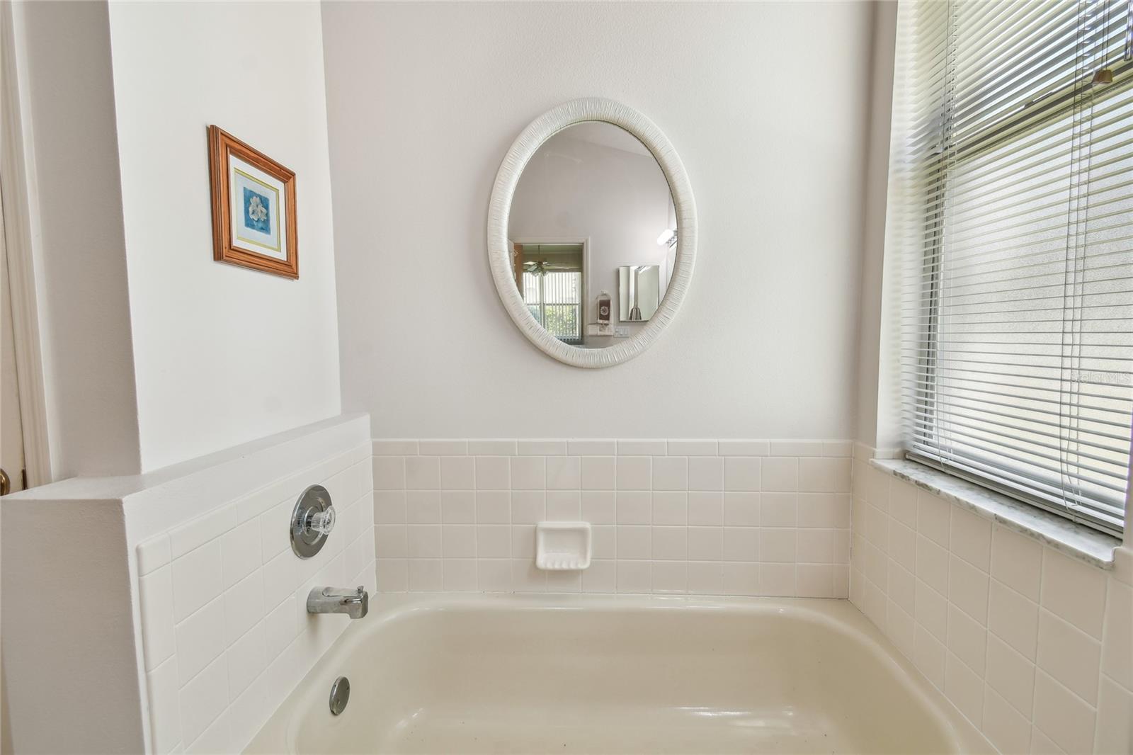 17616 NATHANS DR, TAMPA, FL, 33647