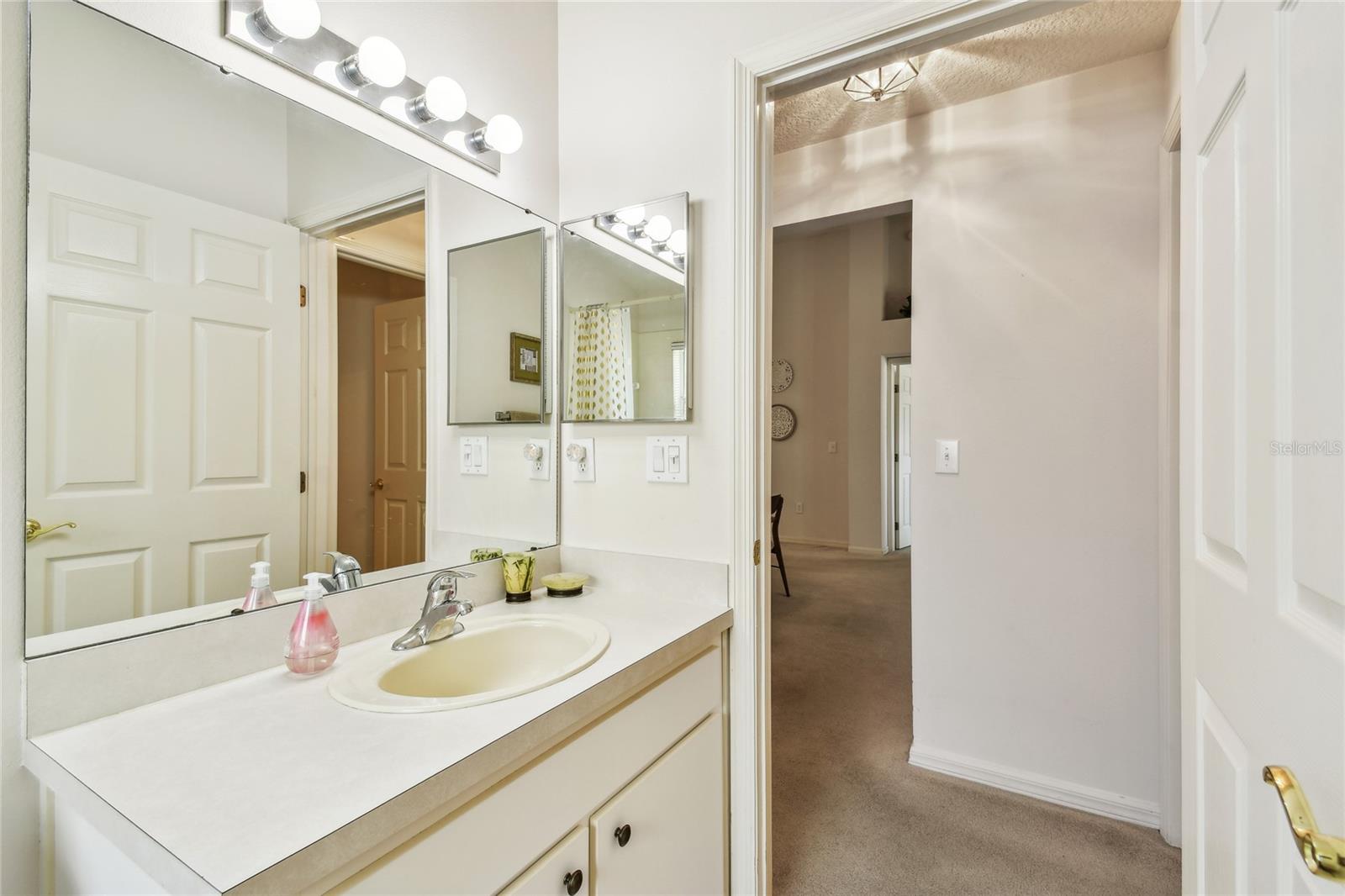 17616 NATHANS DR, TAMPA, FL, 33647