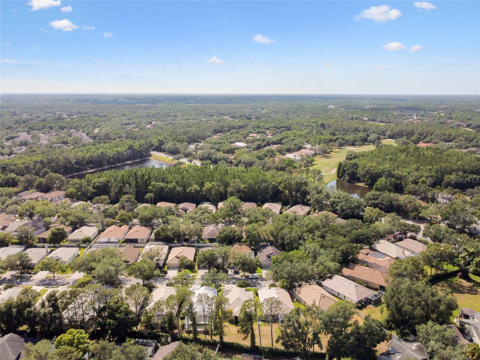 17616 NATHANS DR, TAMPA, FL, 33647