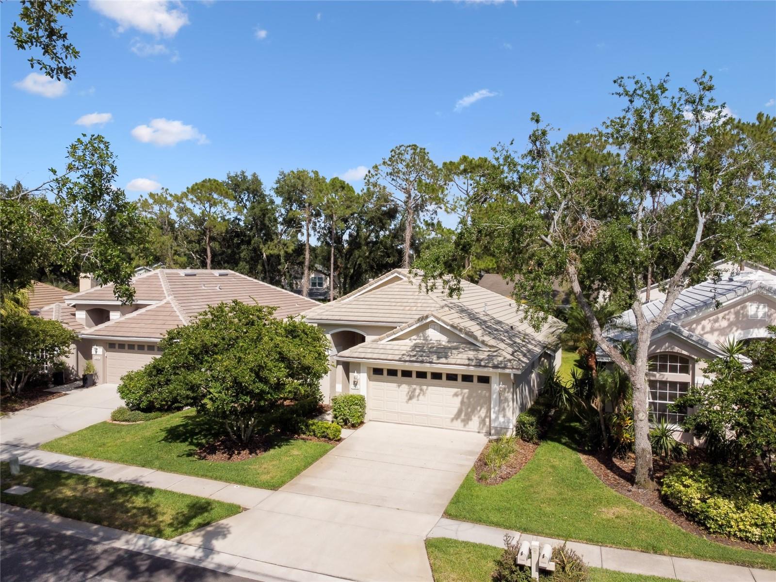 17616 NATHANS DR, TAMPA, FL, 33647