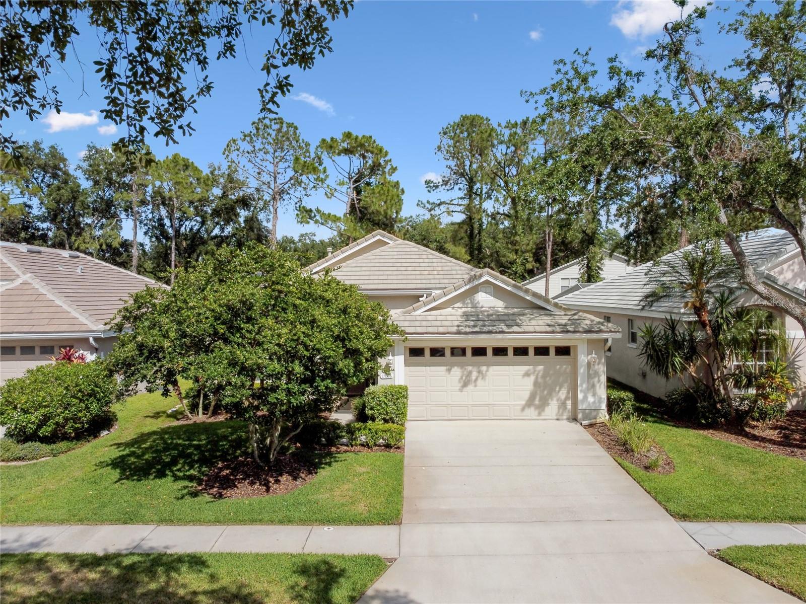 17616 NATHANS DR, TAMPA, FL, 33647