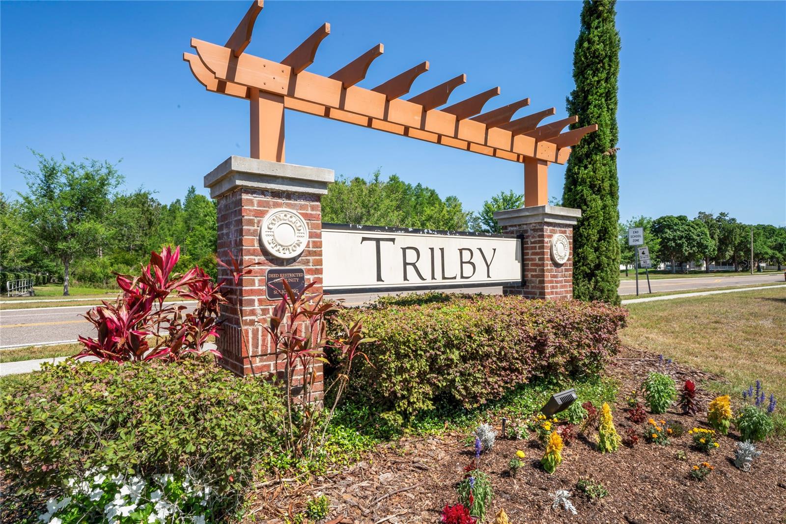 18061 GLASTONBURY LN, LAND O LAKES, FL, 34638