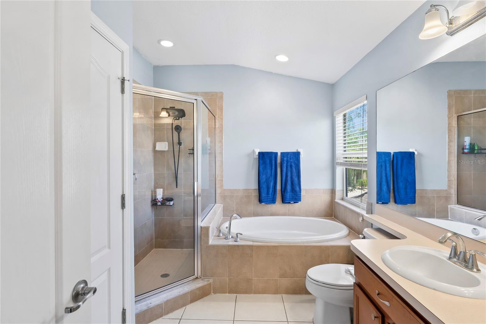 18061 GLASTONBURY LN, LAND O LAKES, FL, 34638