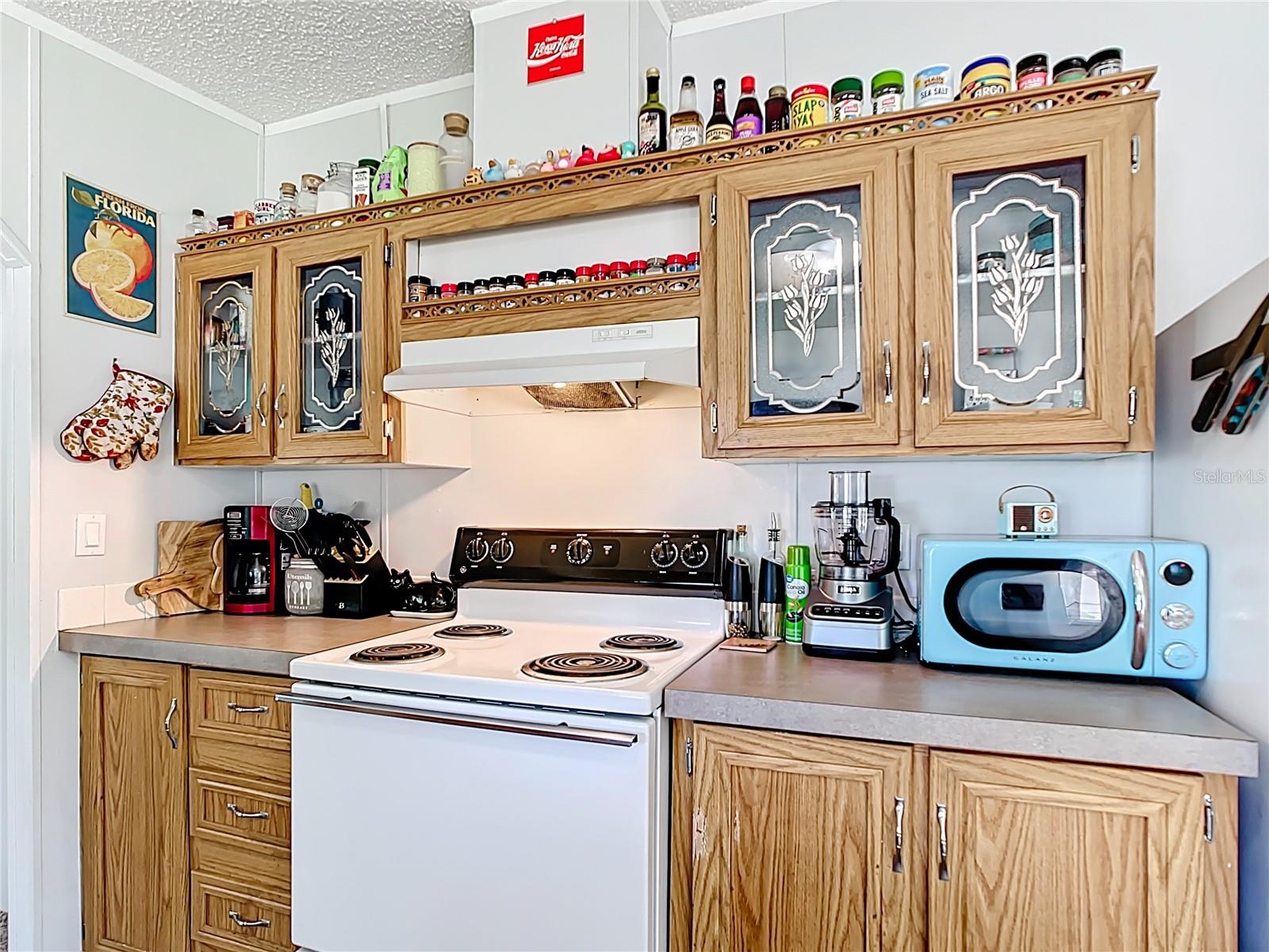 6740 SW 84TH ST, OCALA, FL, 34476