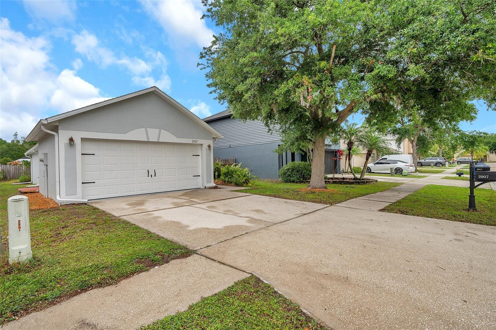 2907 MINGO DR, LAND O LAKES, FL, 34639